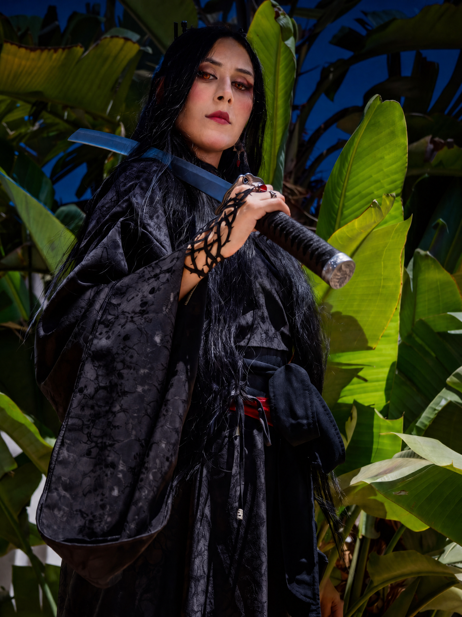 Fenice_auditore